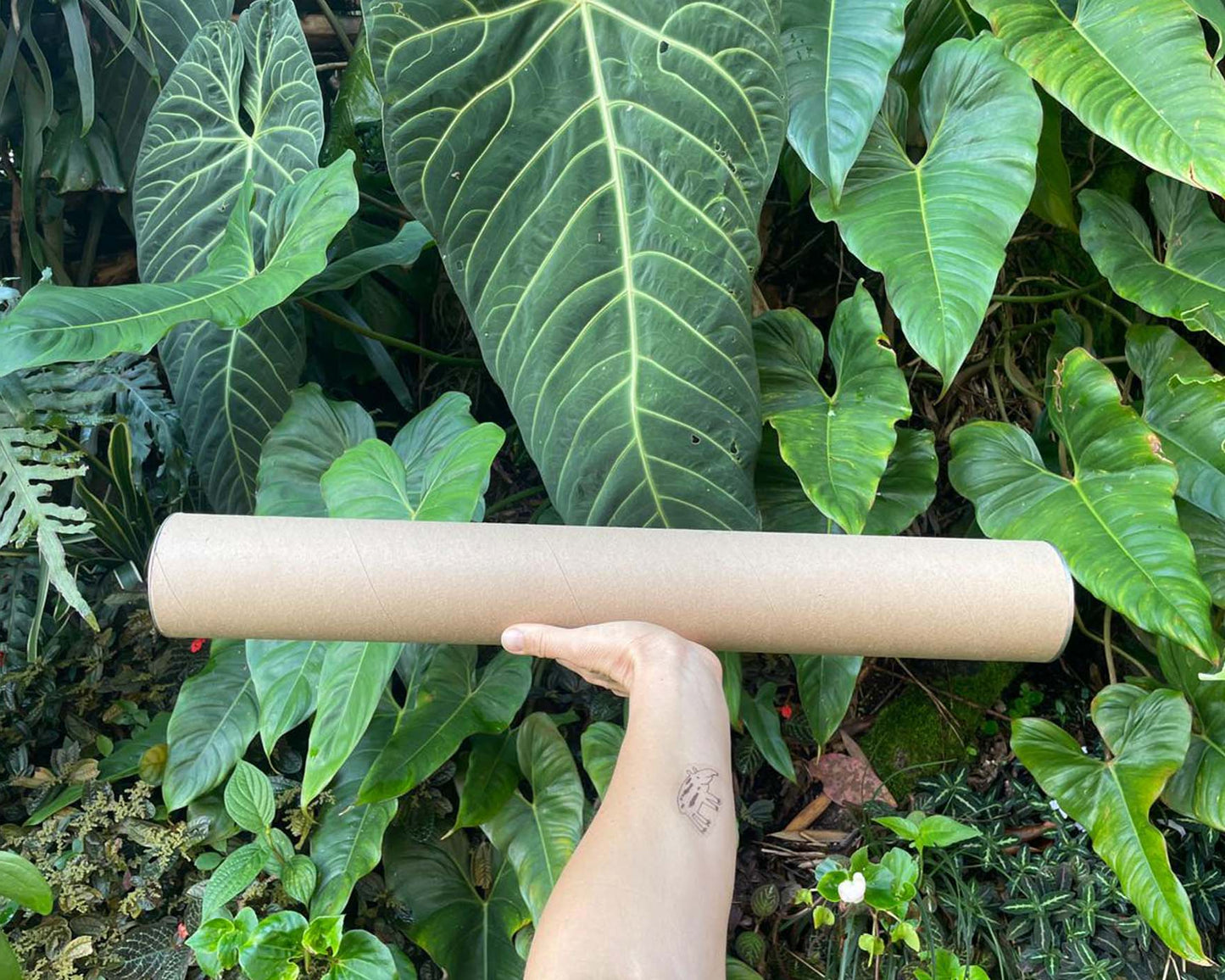 Cartel Animal de MONTE • 50 x 70 cm • Serigrafía y tipografía