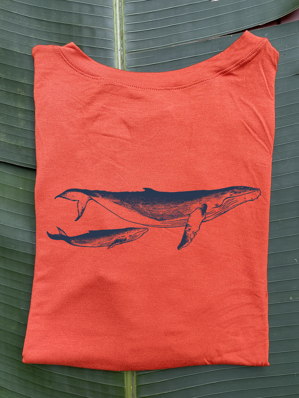 Camiseta Ballena jorobada • Brisa • Vaporosas adultos