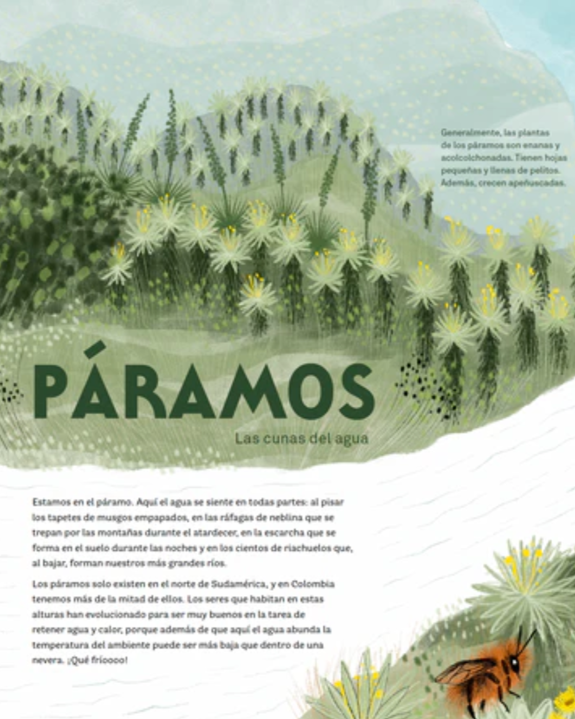 Libro "Colombia de arriba abajo" • Lazo Libros