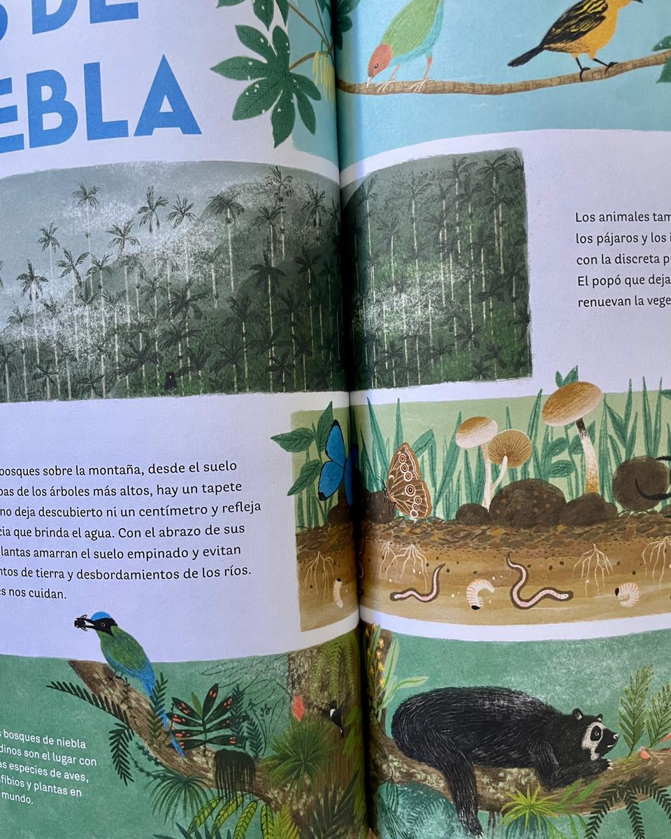 Libro "Colombia de arriba abajo" • Lazo Libros