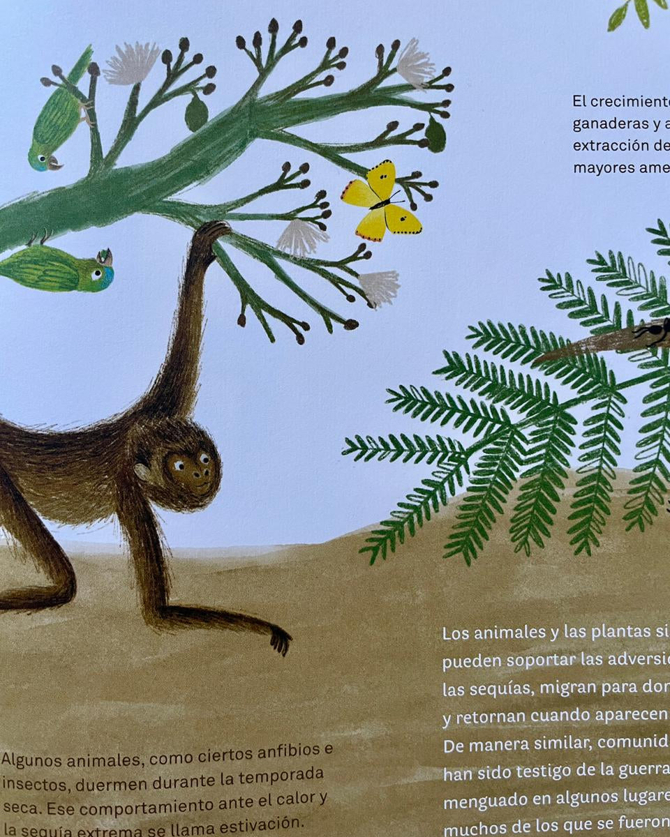 Libro "Colombia de arriba abajo" • Lazo Libros