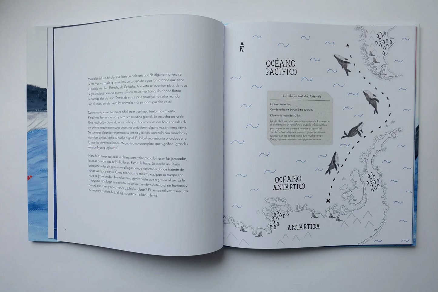 Libro "El vuelo de las jorobadas" • Lazo Libros