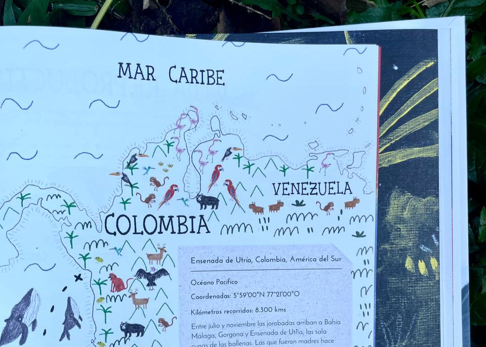 Libro "El vuelo de las jorobadas" • Lazo Libros