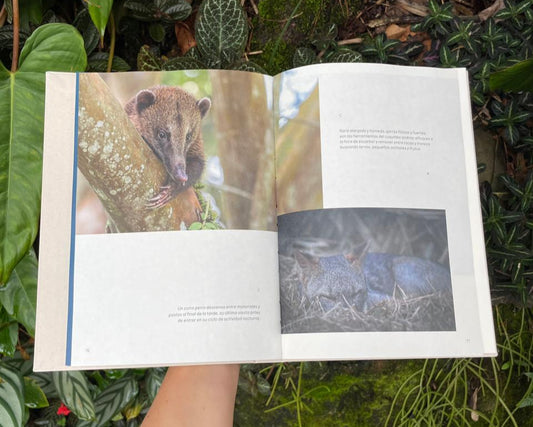 Libro "Errante entre montañas y niebla. Bitácora del camino" • Juan Camilo Botero