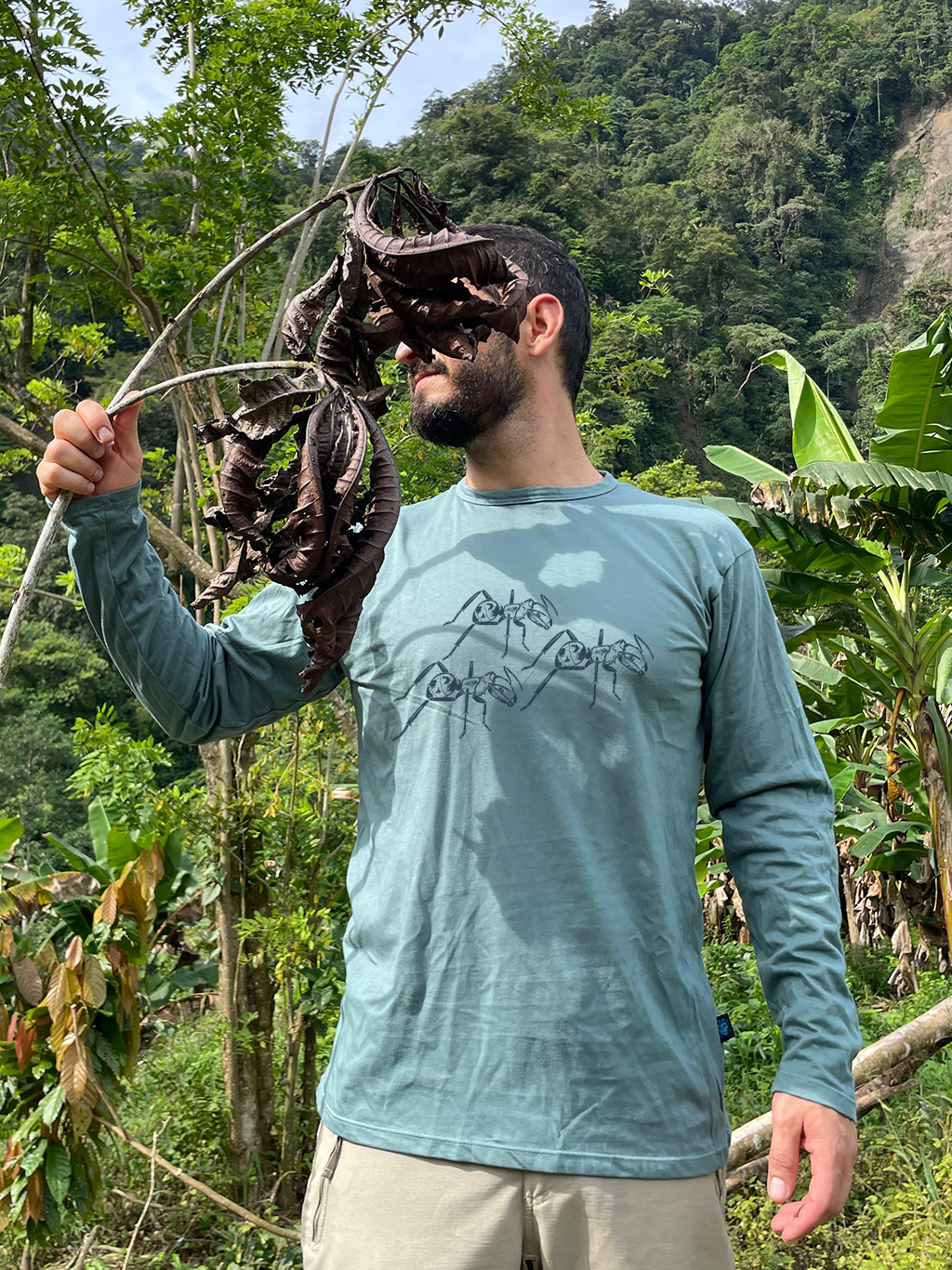 Camiseta Hormiga carpintera bronceada • Monte • Manga larga adultos
