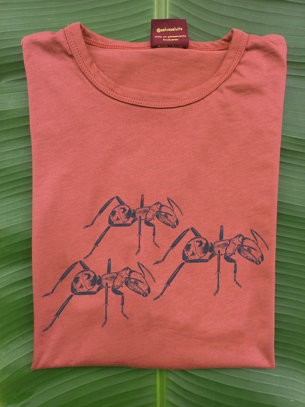 Camiseta Hormiga carpintera bronceada • Monte • Manga larga adultos