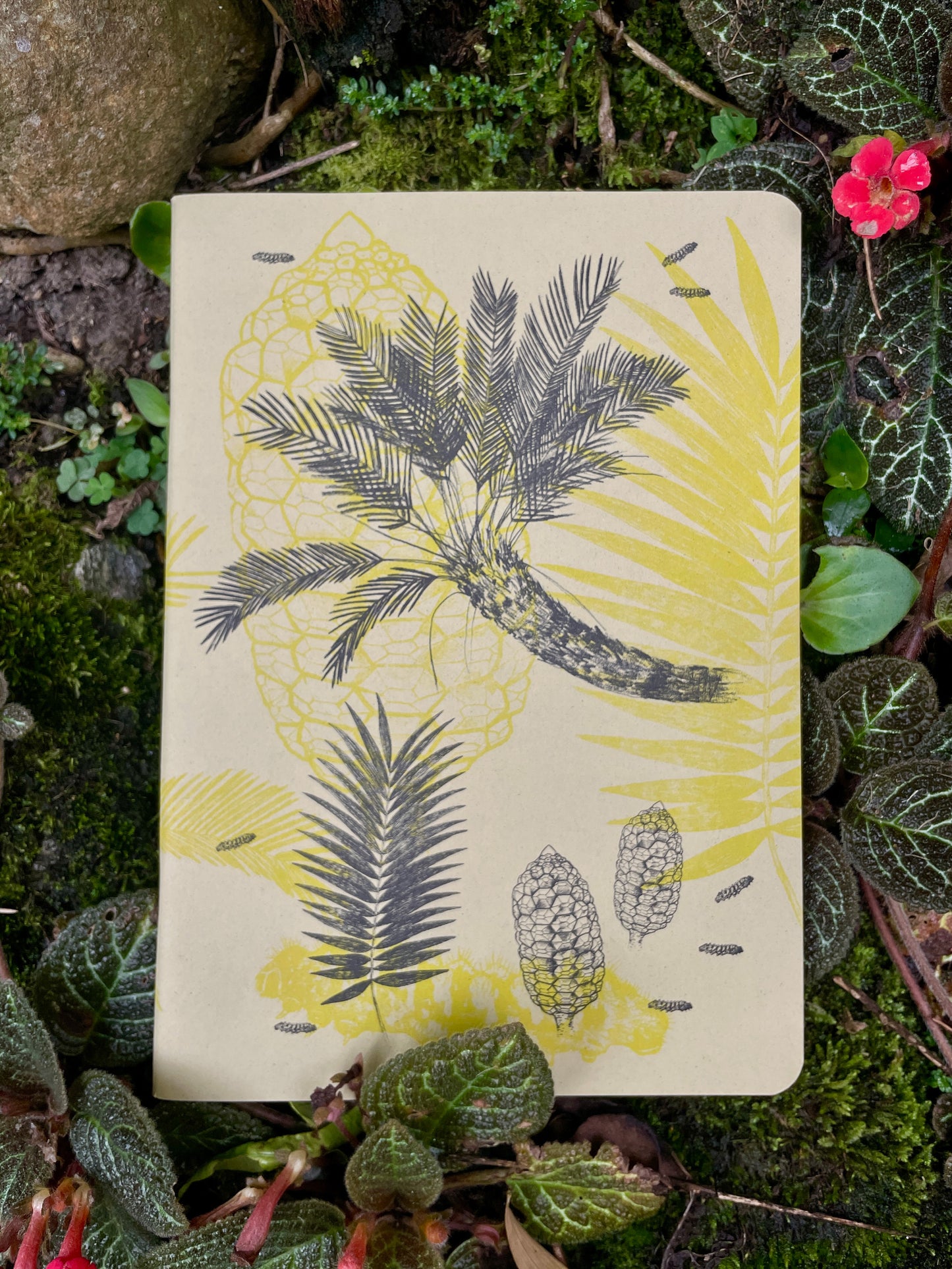 Libreta Selviflora • Oruga Emaeus y Zamia