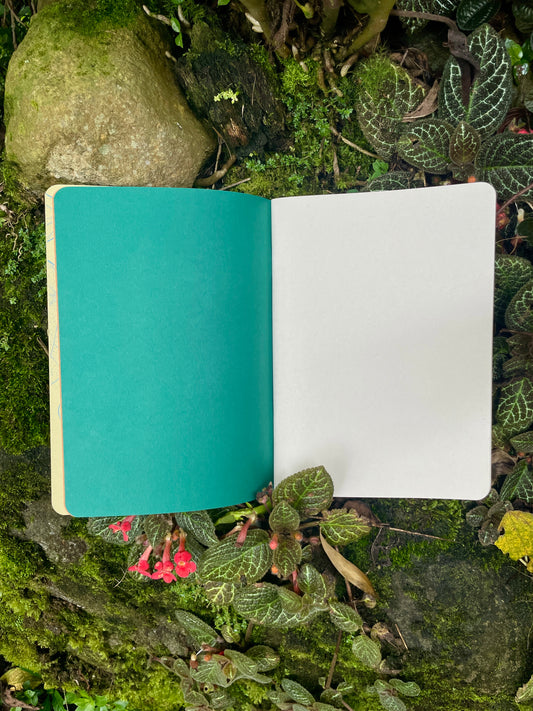 Libreta  Selviflora • Oruga Emaeus y Zamia