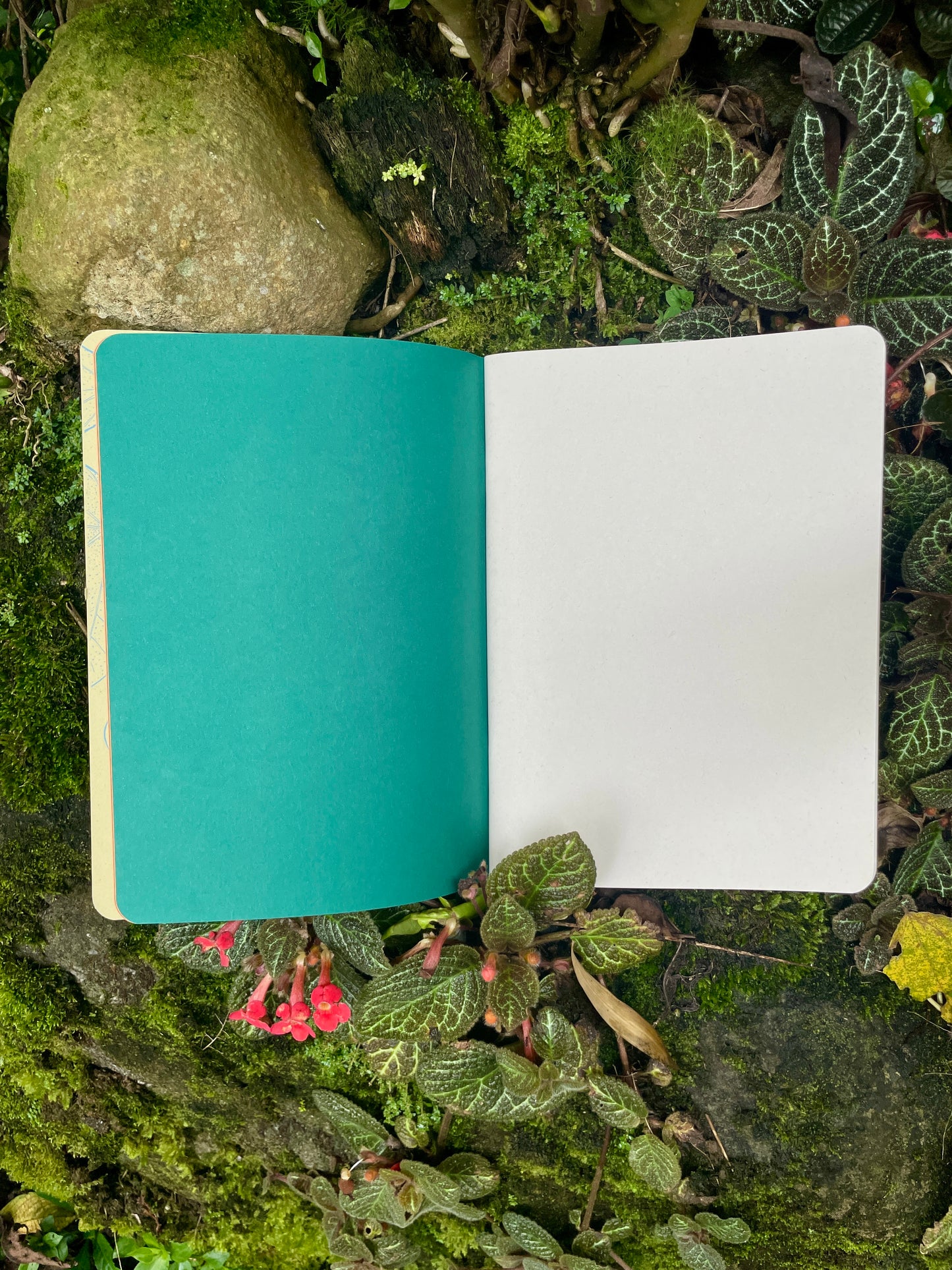 Libreta Selviflora • Balso y Perro de monte