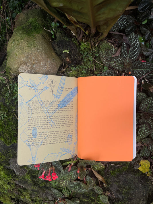 Libreta  Selviflora • Balso y Perro de monte