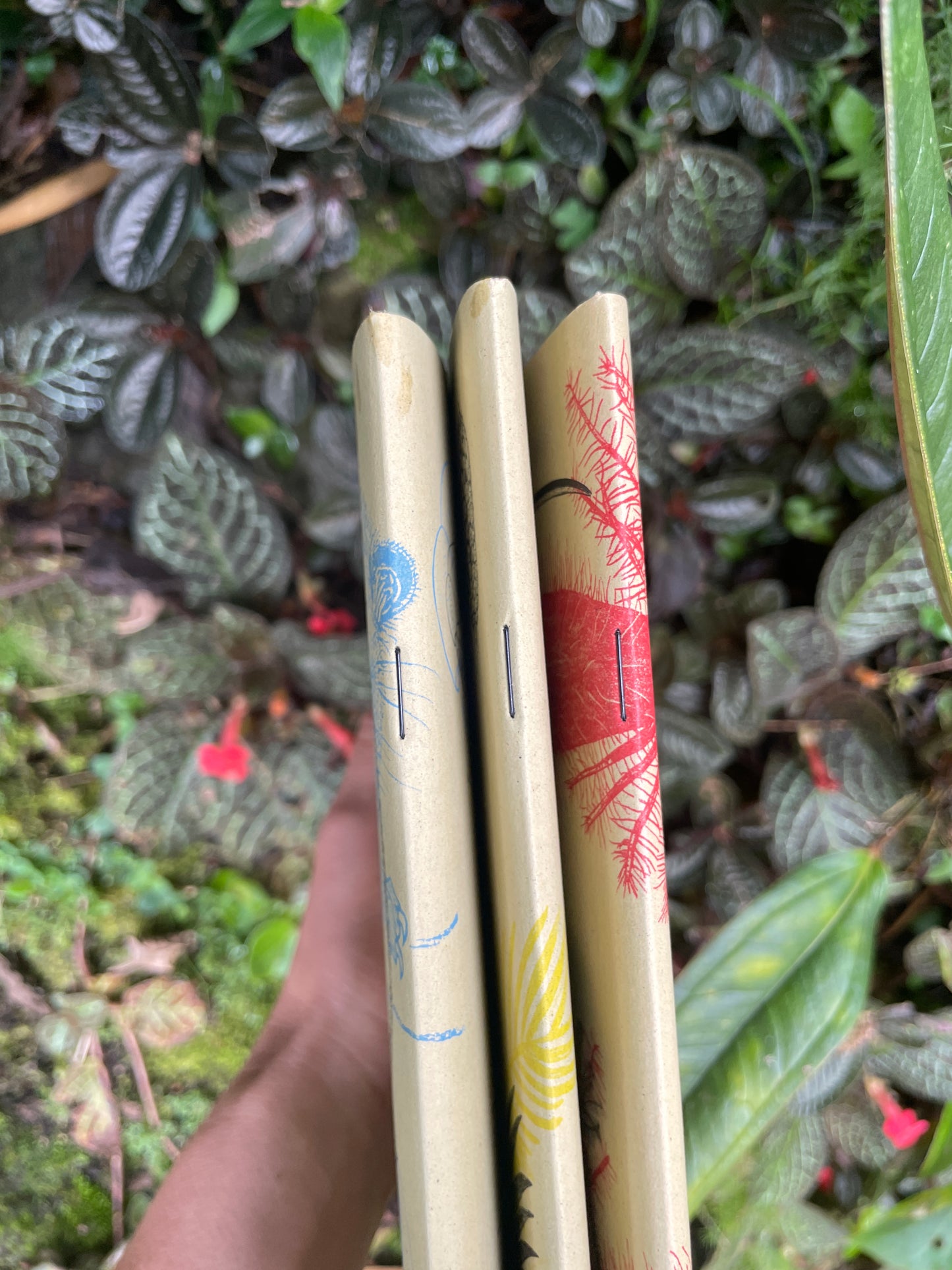 Libreta Selviflora • Colibrí ermitaño y Flor peludita