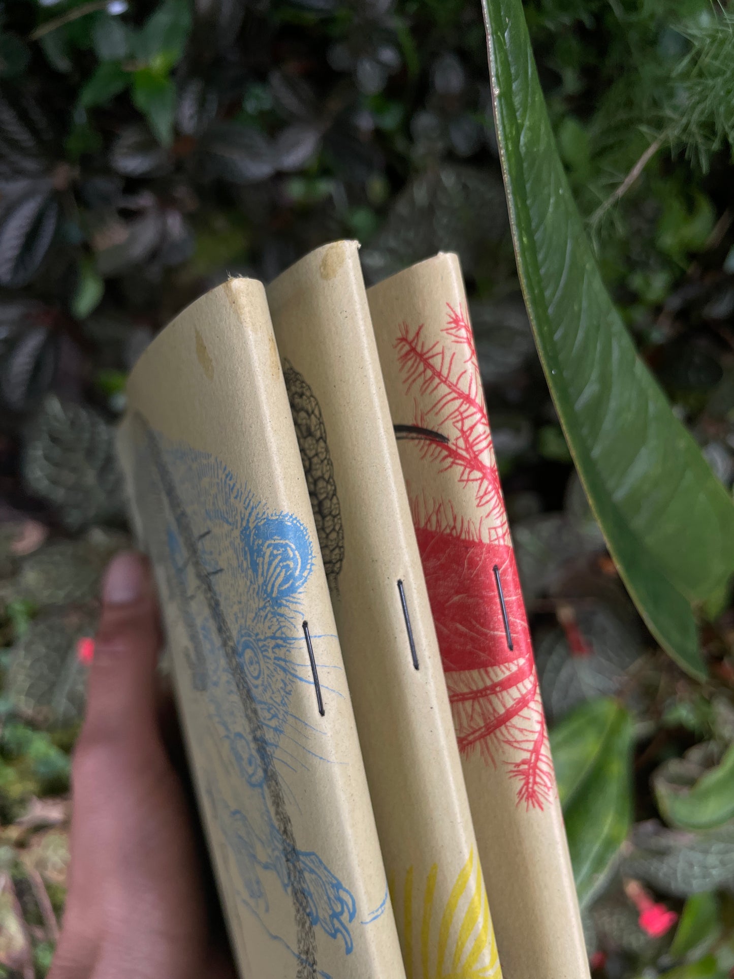 Libreta Selviflora • Balso y Perro de monte