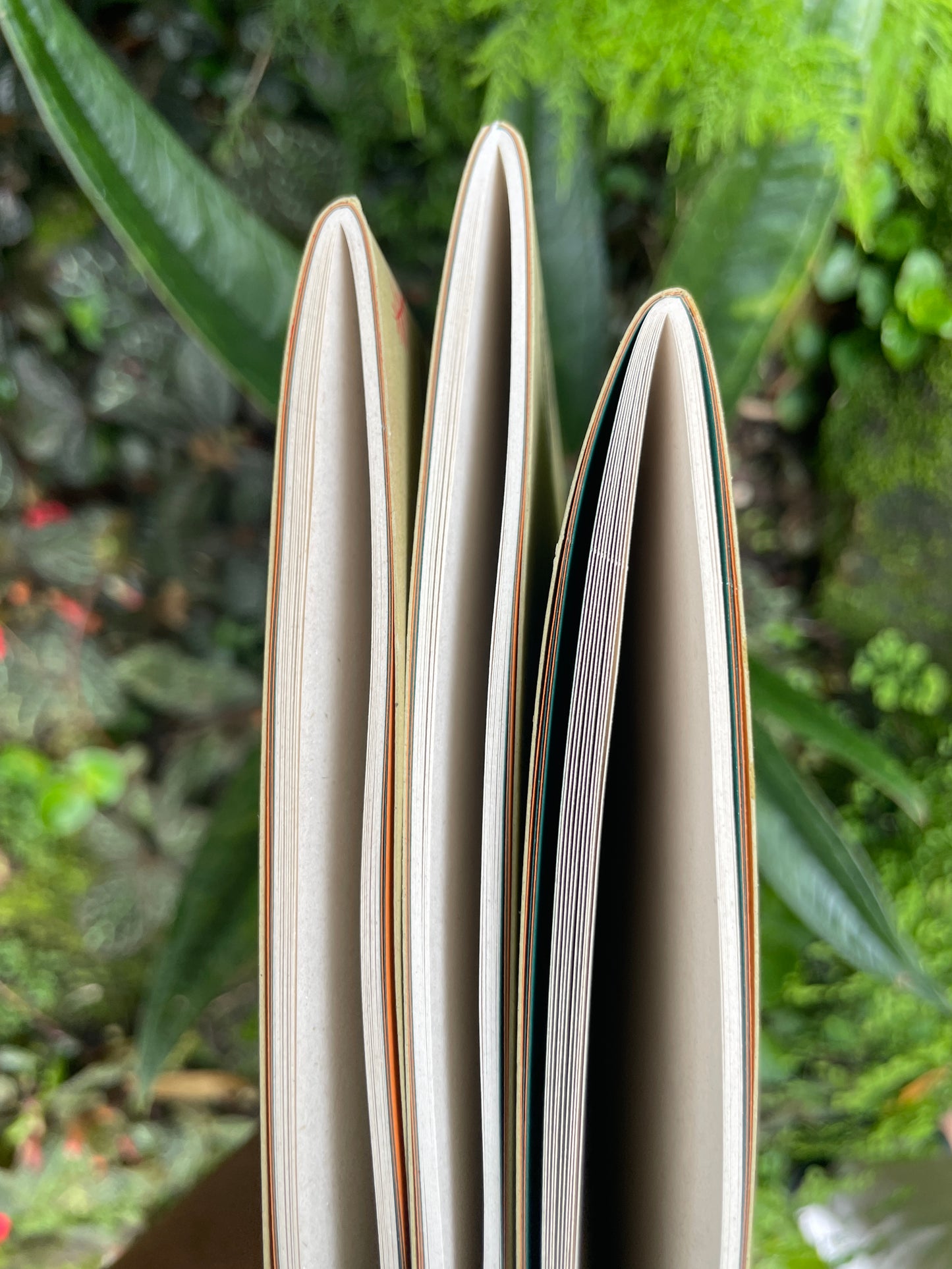 Libreta Selviflora • Balso y Perro de monte