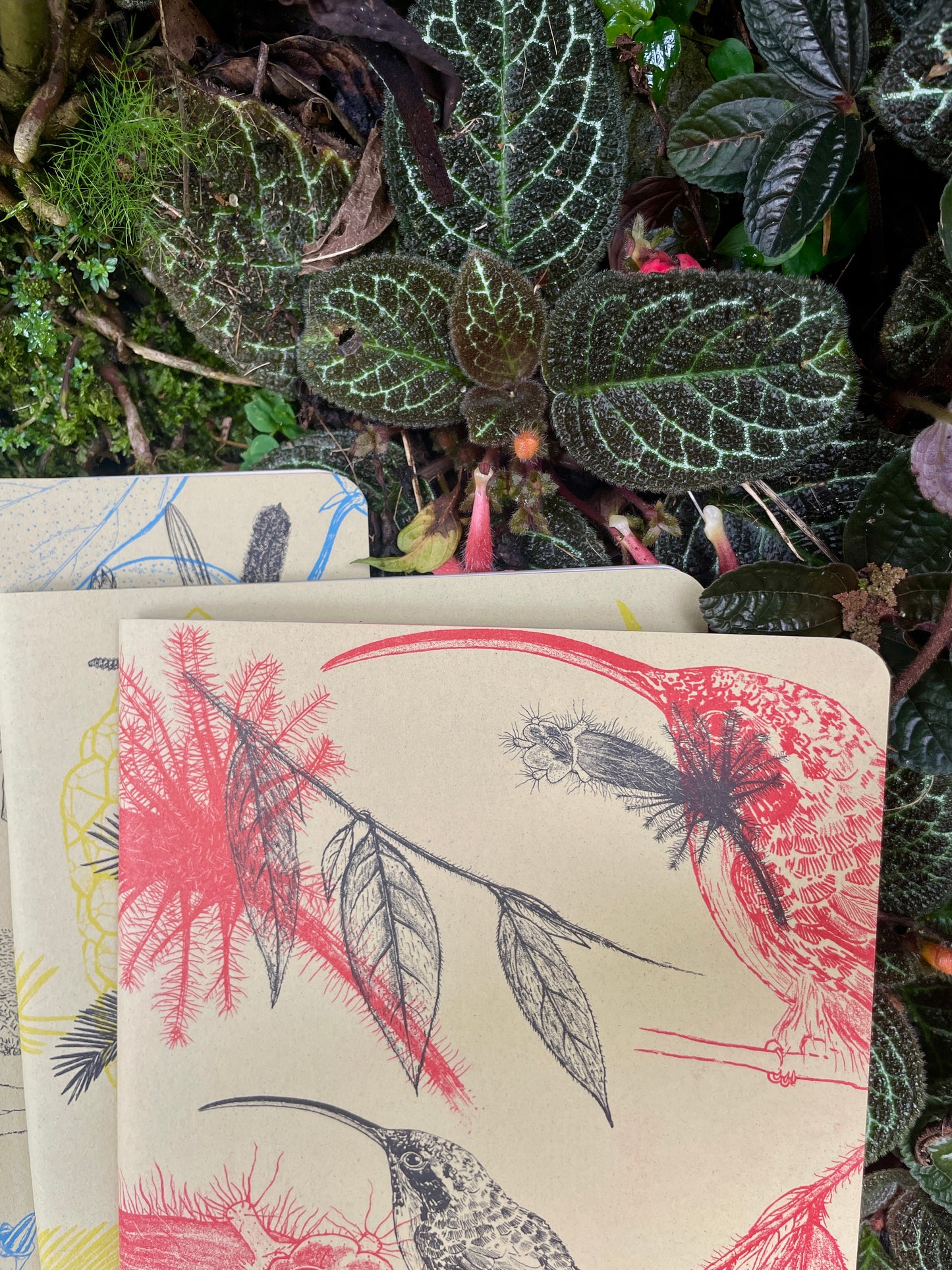 Libreta Selviflora • Colibrí ermitaño y Flor peludita