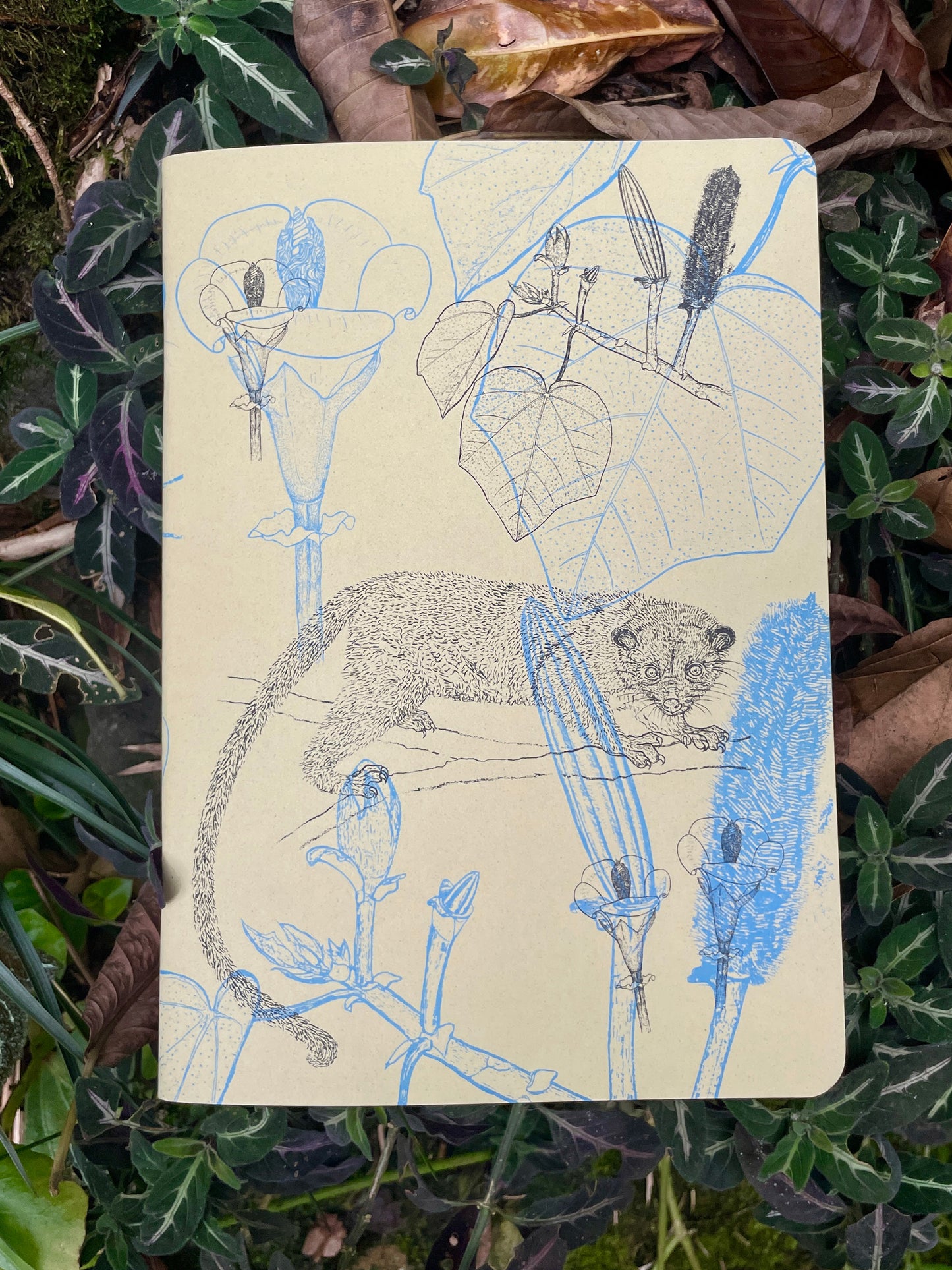 Libreta Selviflora • Balso y Perro de monte