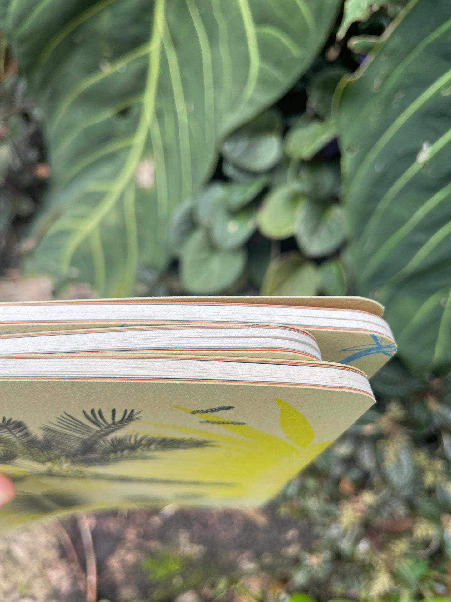 Libreta Selviflora • Balso y Perro de monte