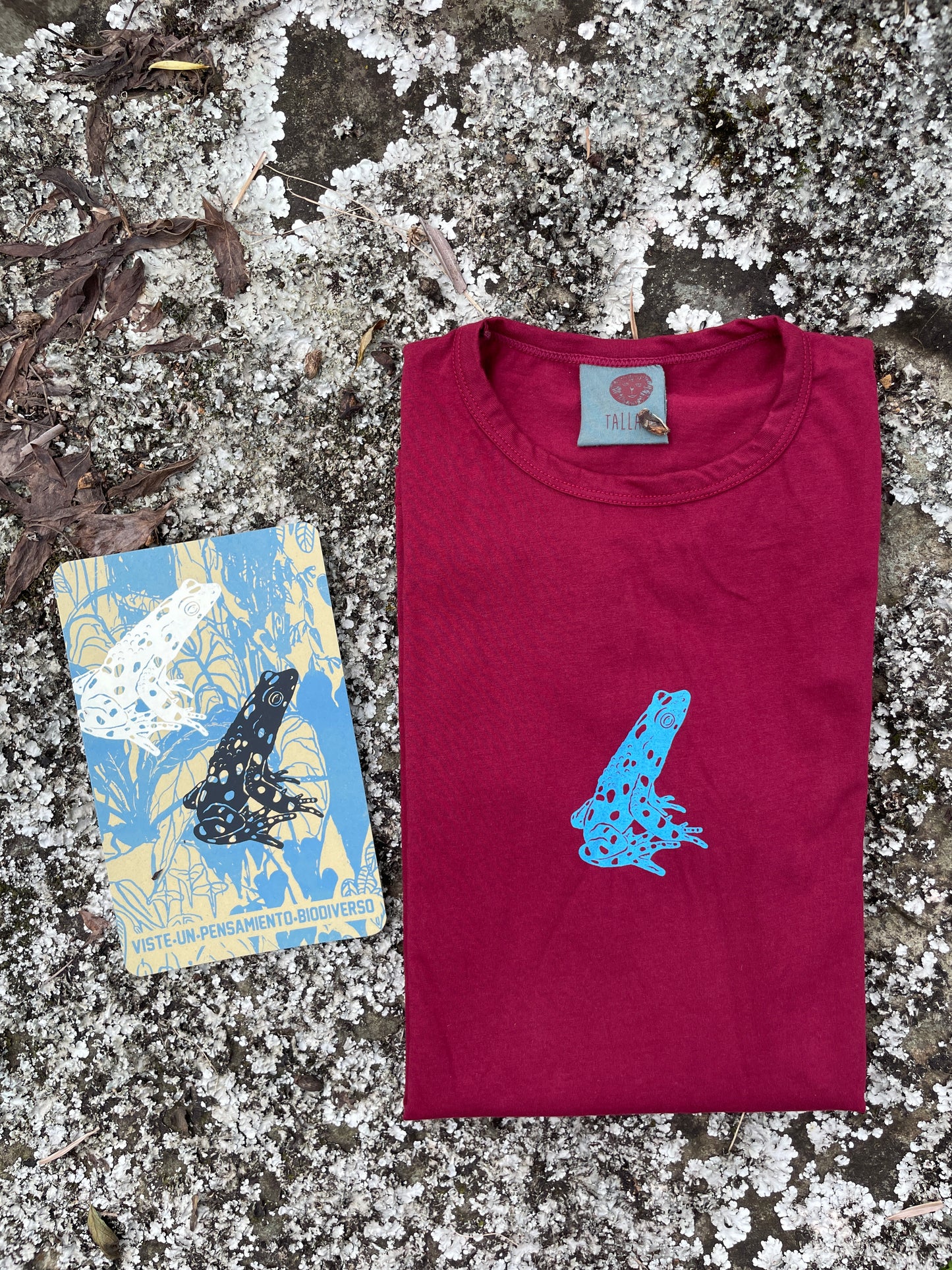 Camiseta conmemorativa - Sapito arlequín • Monte • Manga larga adultos