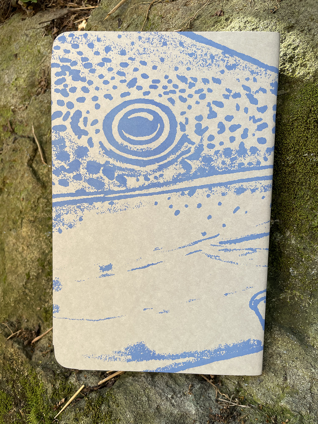 Libreta Bagre cajaro