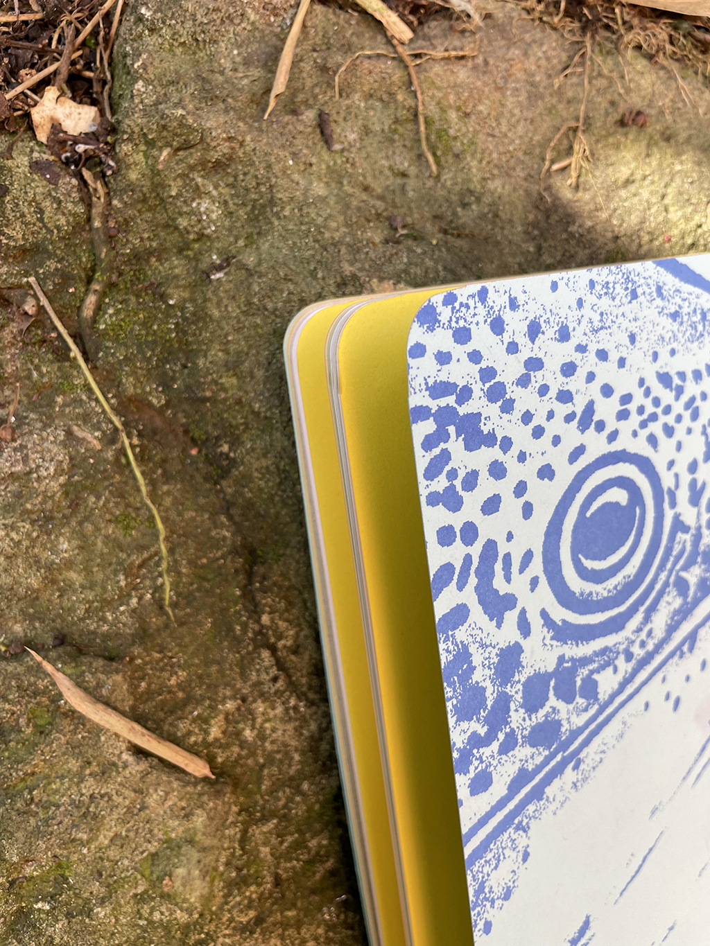 Libreta Bagre cajaro
