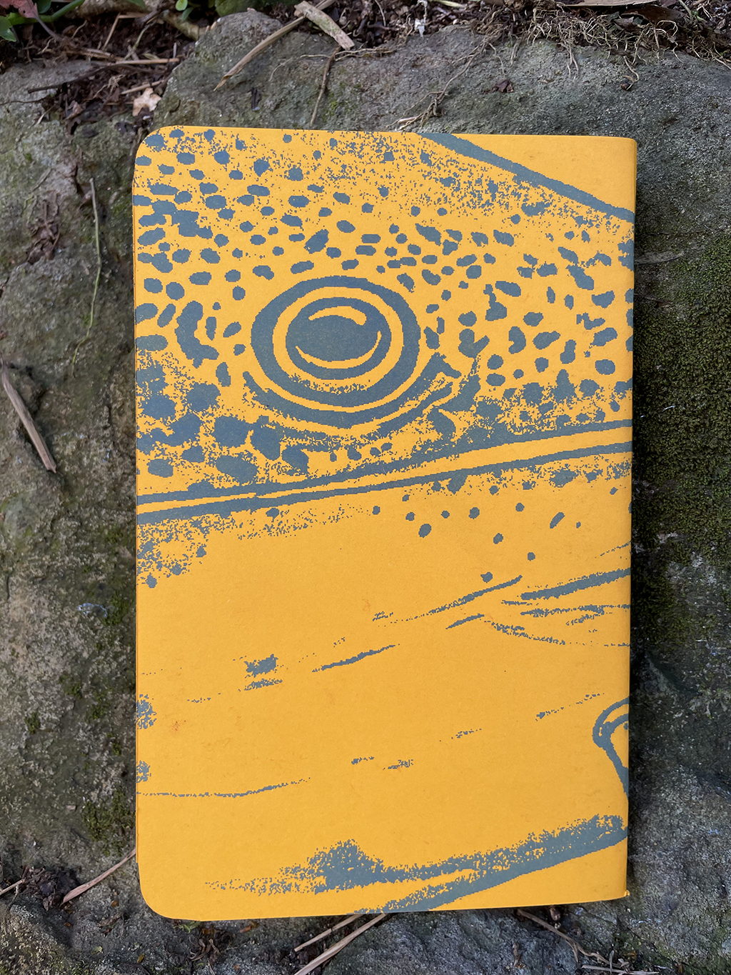 Libreta Bagre cajaro