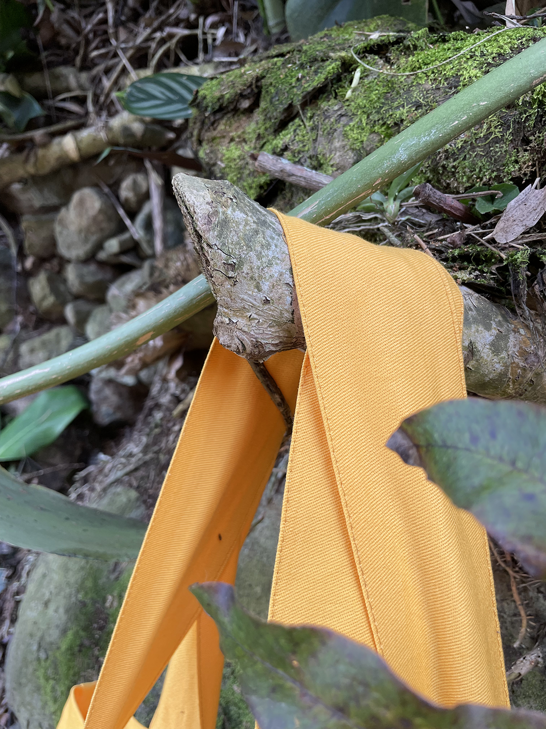 Bolsa Selviflora • Balso - Perro de monte