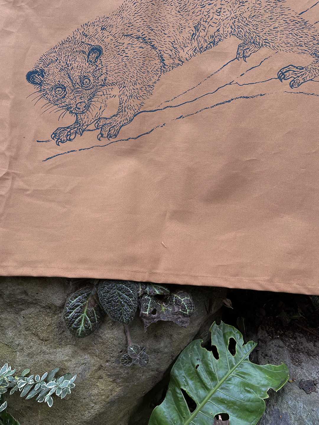 Manta Selviflora • Balso - Perro de monte