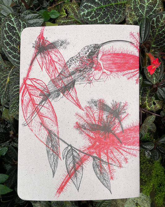 Libreta Selviflora • Colibrí ermitaño y Flor peludita • Roja
