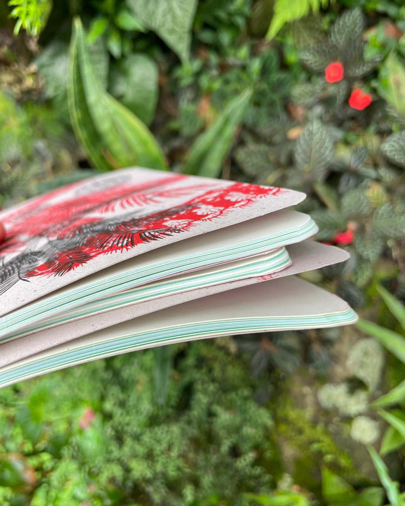 Libreta Selviflora • Balso y Perro de monte • Roja