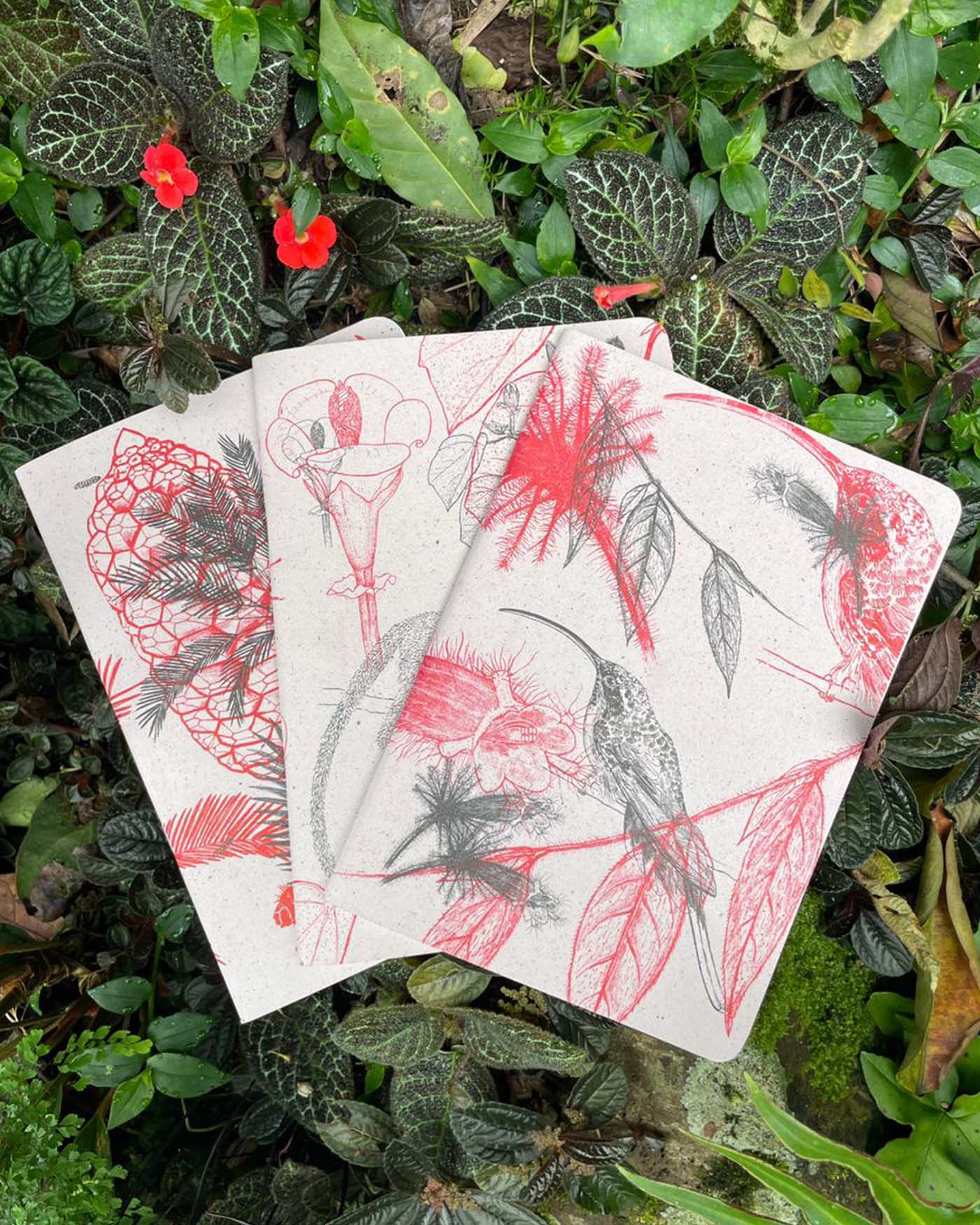 Libreta Selviflora • Colibrí ermitaño y Flor peludita • Roja