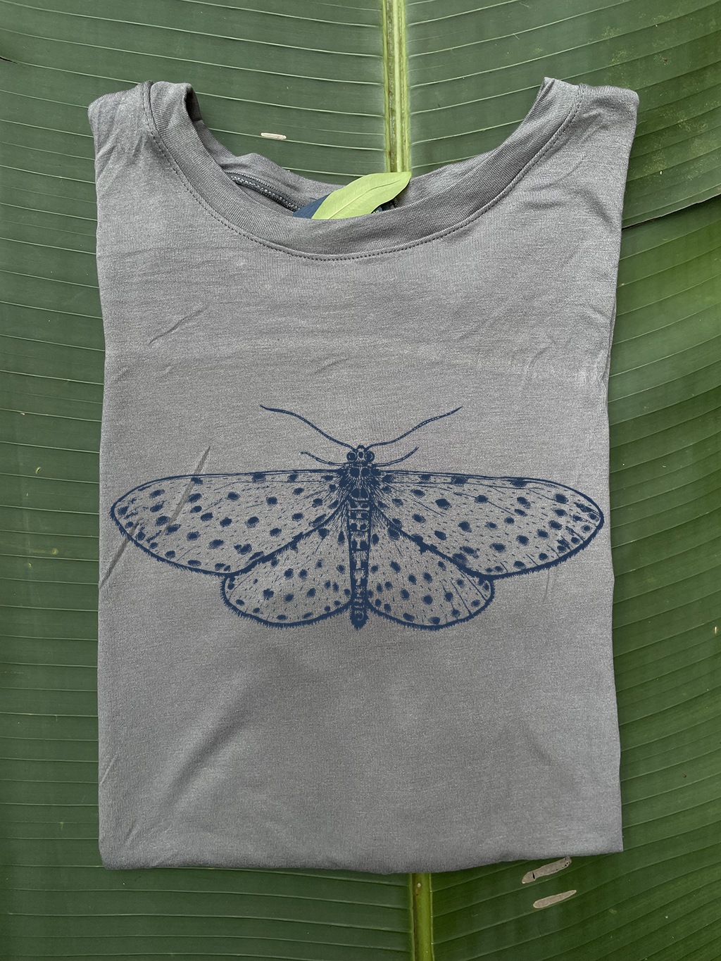 Camiseta Polilla • Larga Brisa • Vaporosas adultos
