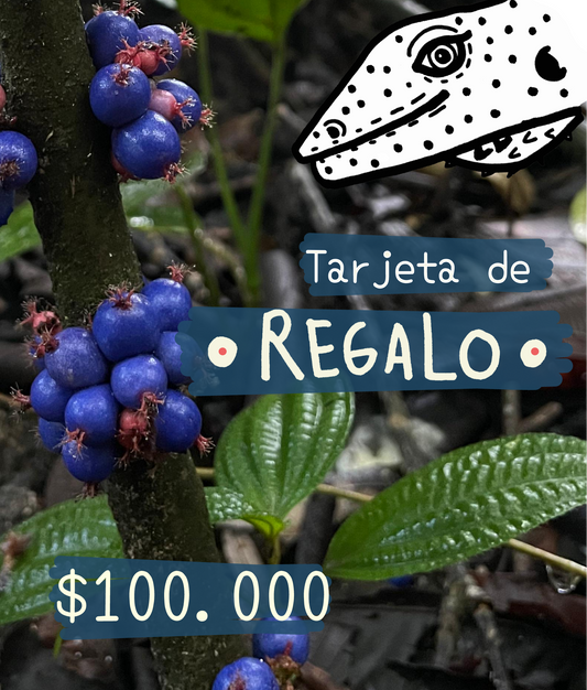 Tarjeta de regalo Selva Selvita