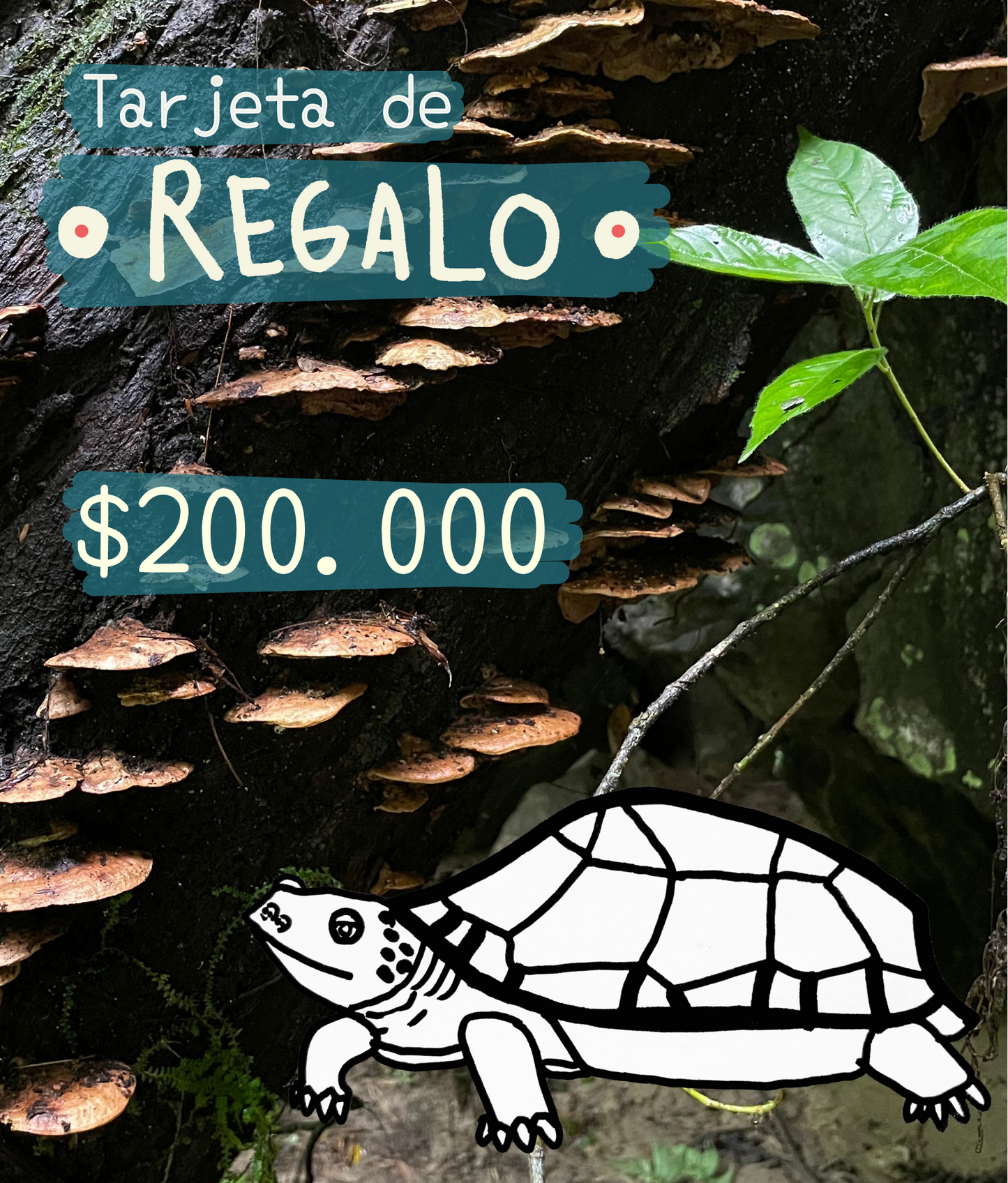 Tarjeta de regalo Selva Selvita