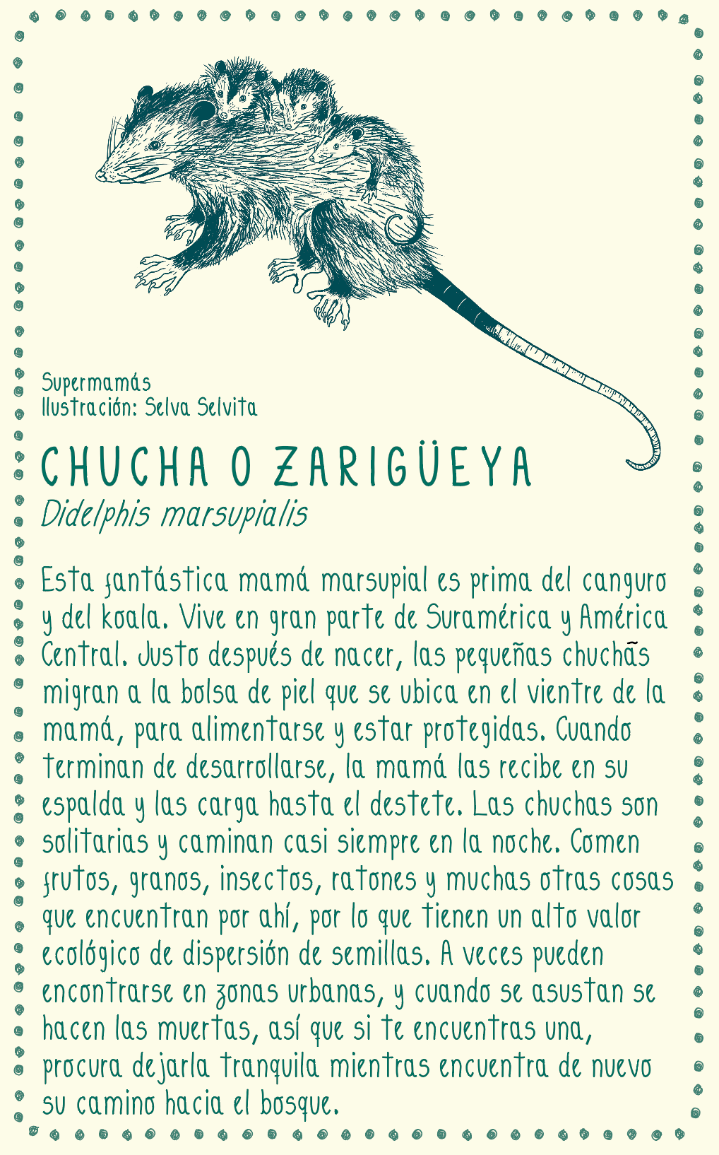 Camiseta Chucha o Zarigüeya • Monte • Manga larga adultos