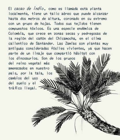 Libreta  Selviflora • Oruga Emaeus y Zamia • Roja