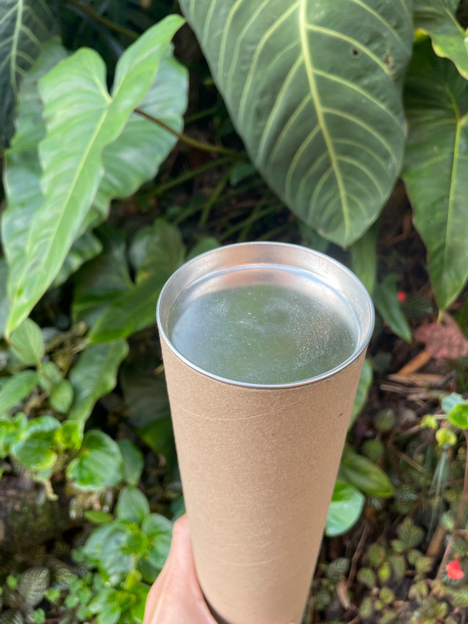 Cartel Animal de MONTE • 50 x 70 cm • Serigrafía y tipografía