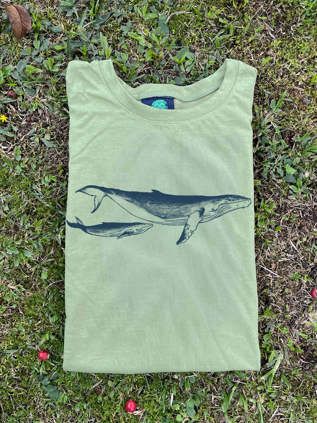 Camiseta Ballena jorobada • Clásica • Adulto