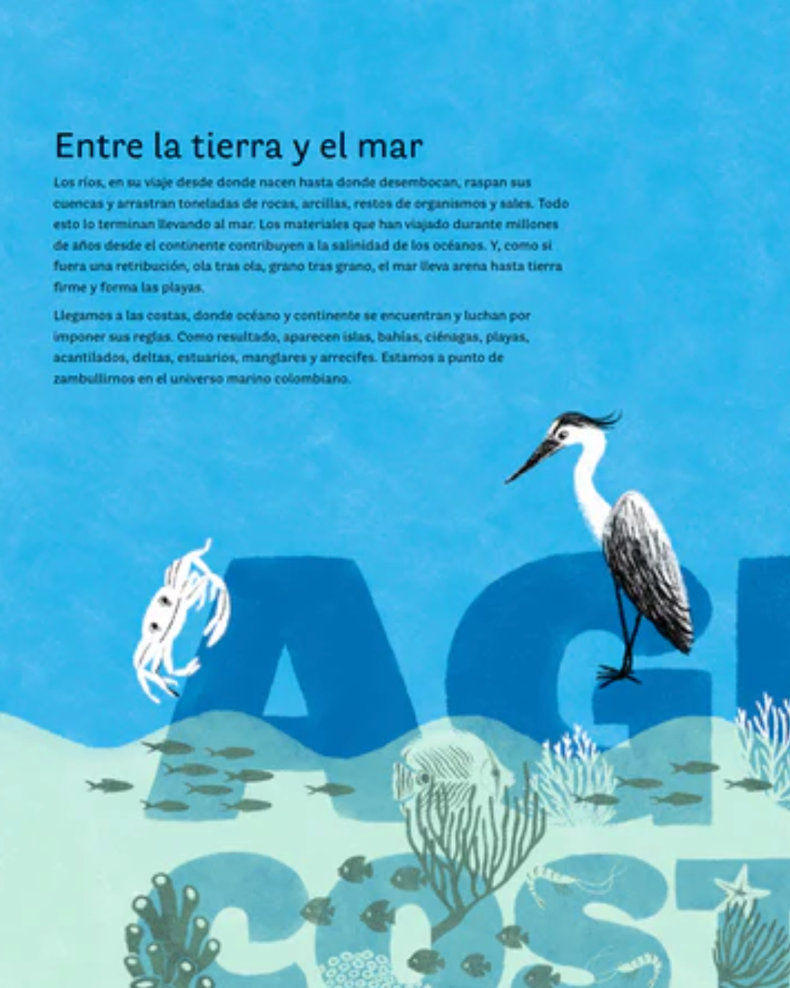 Libro "Colombia de arriba abajo" • Lazo Libros