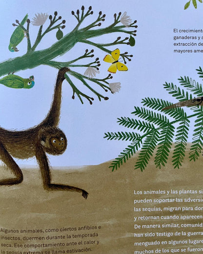Libro "Colombia de arriba abajo" • Lazo Libros