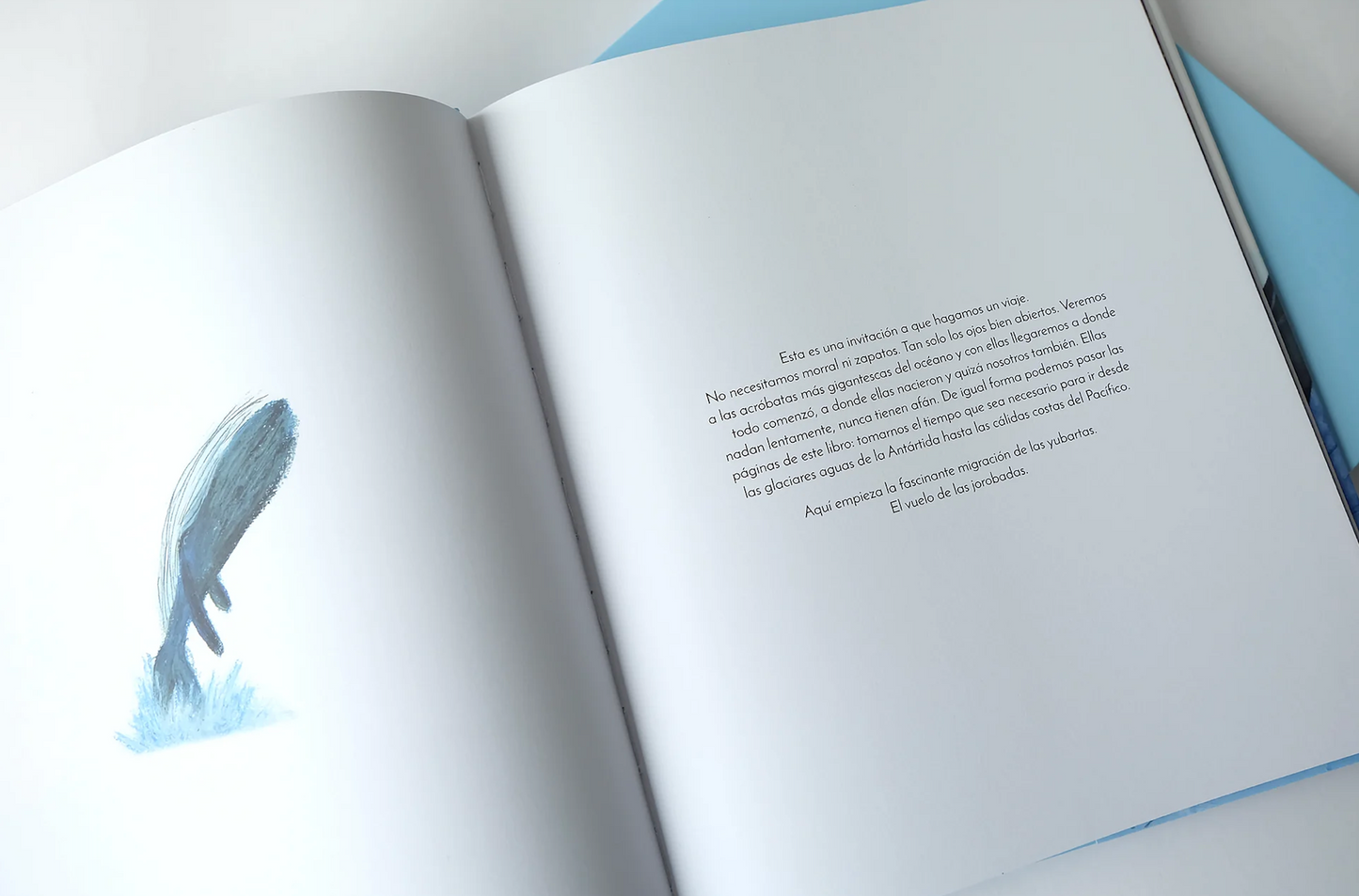 Libro "El vuelo de las jorobadas" • Lazo Libros