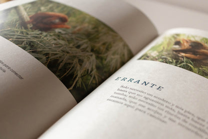Libro "Errante entre montañas y niebla. Bitácora del camino" • Juan Camilo Botero