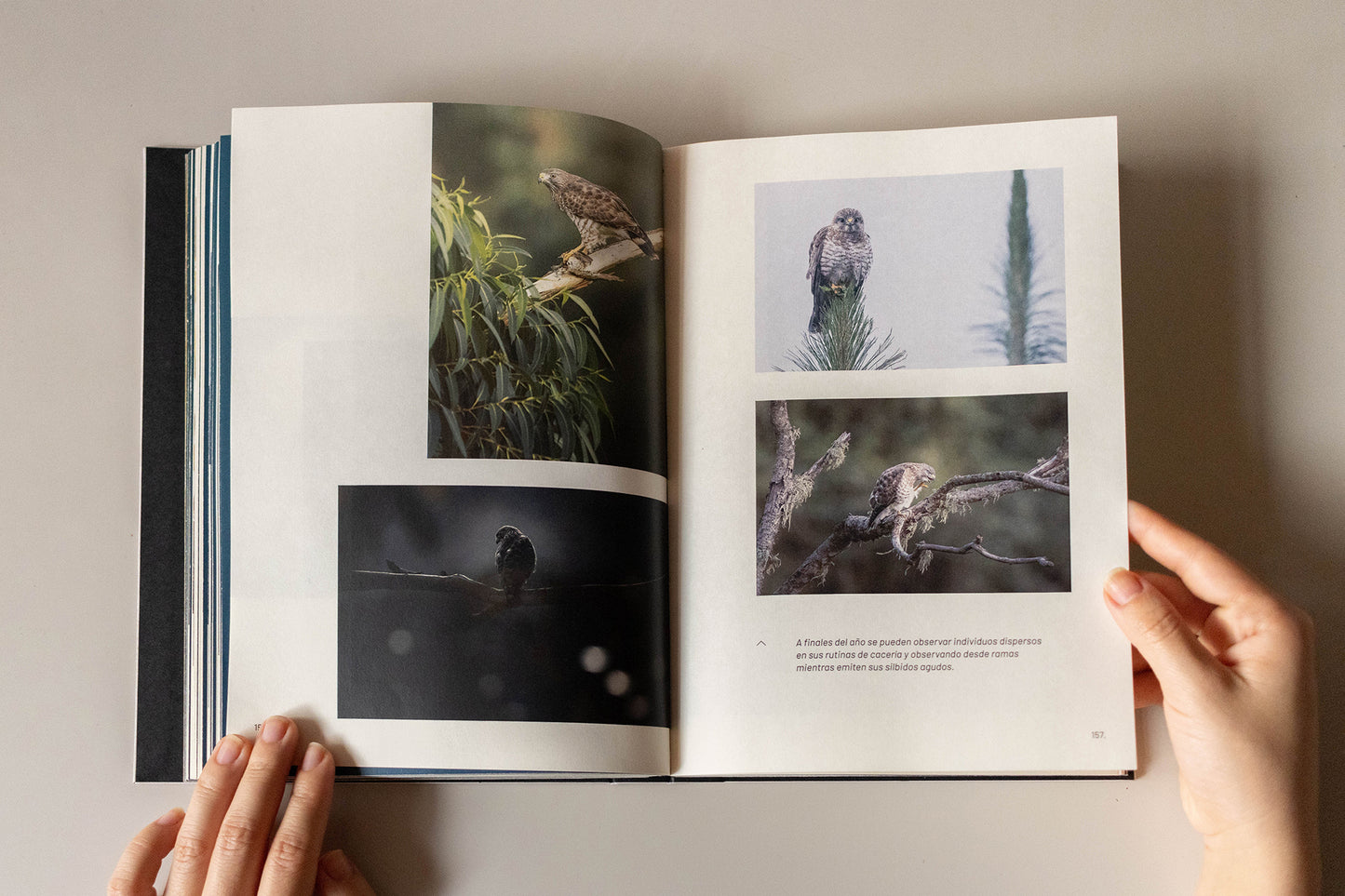 Libro "Errante entre montañas y niebla. Bitácora del camino" • Juan Camilo Botero