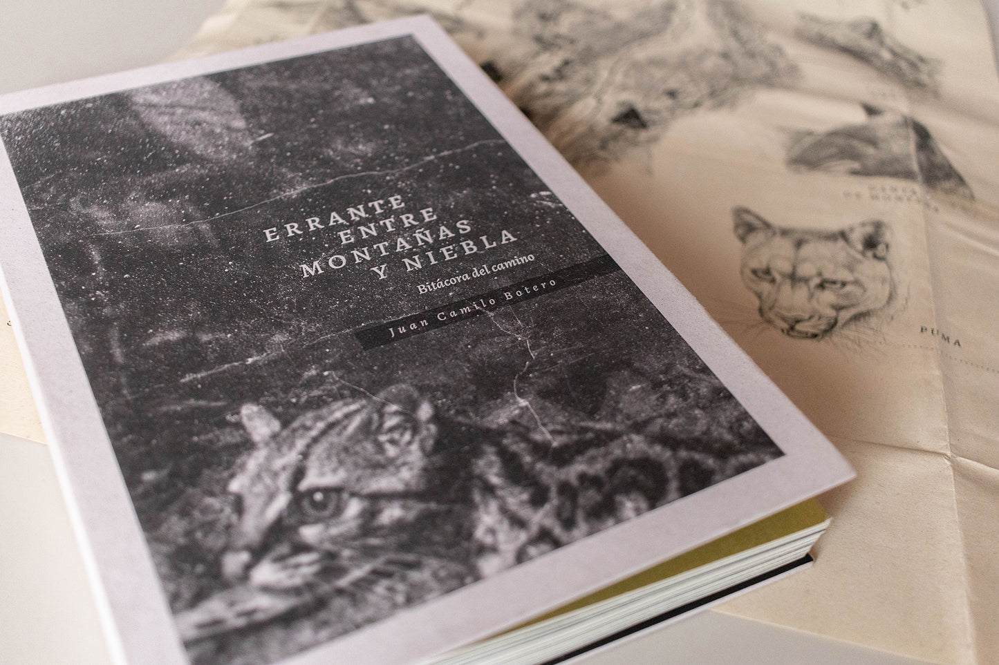 Libro "Errante entre montañas y niebla. Bitácora del camino" • Juan Camilo Botero