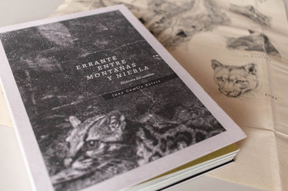 Libro "Errante entre montañas y niebla. Bitácora del camino" • Juan Camilo Botero