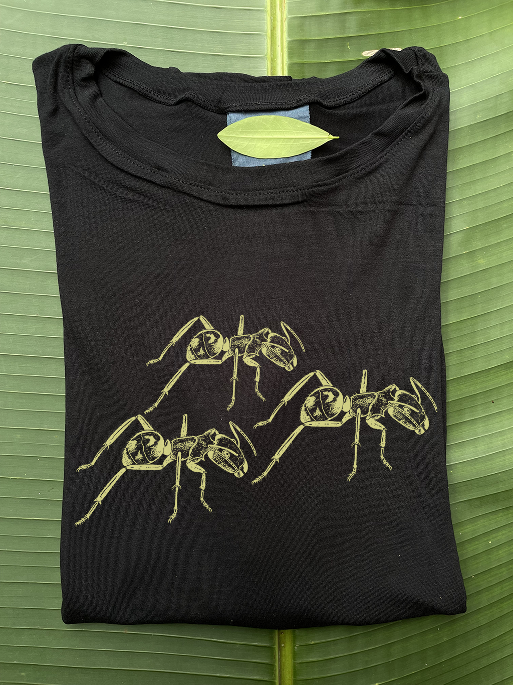 Camiseta Hormiga carpintera bronceada • Armonía • Vaporosas adultos