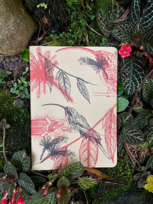 Libreta  Selviflora • Colibrí ermitaño y Flor peludita