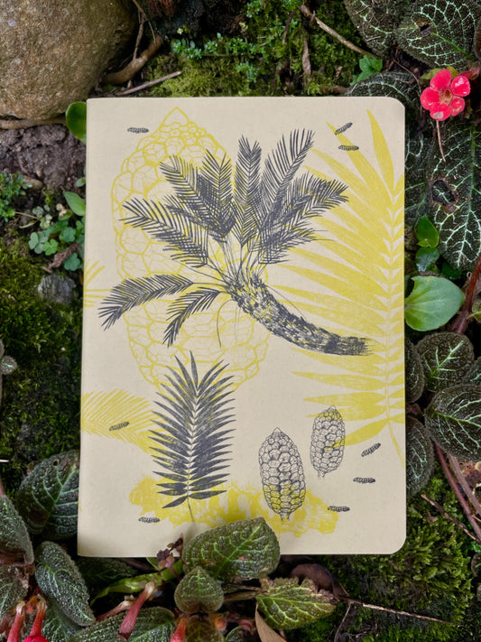 Libreta  Selviflora • Oruga Emaeus y Zamia