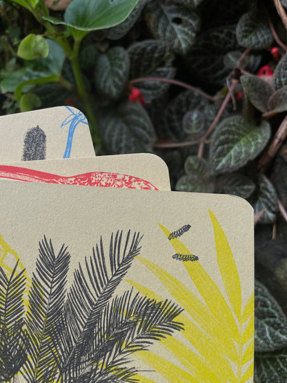 Libreta  Selviflora • Oruga Emaeus y Zamia