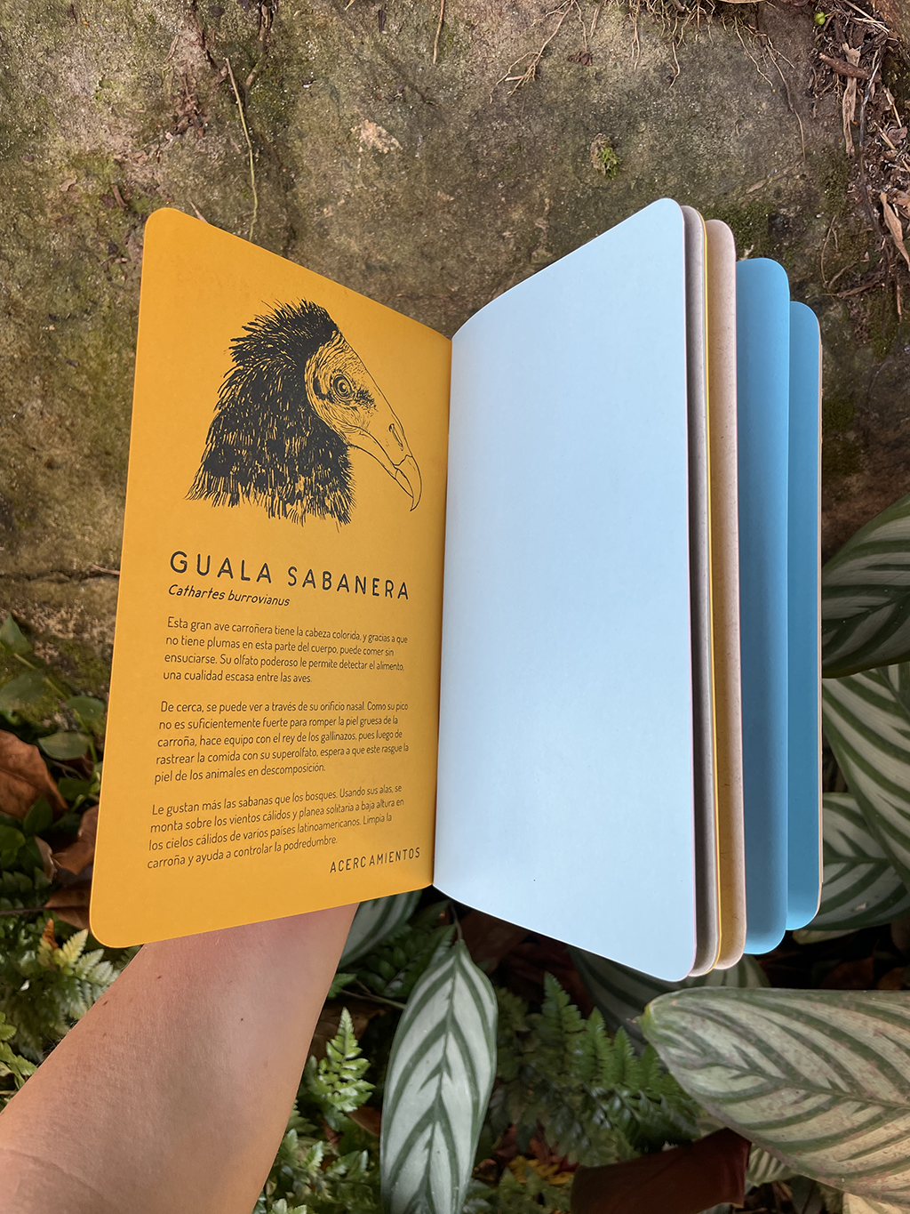 Libreta Guala