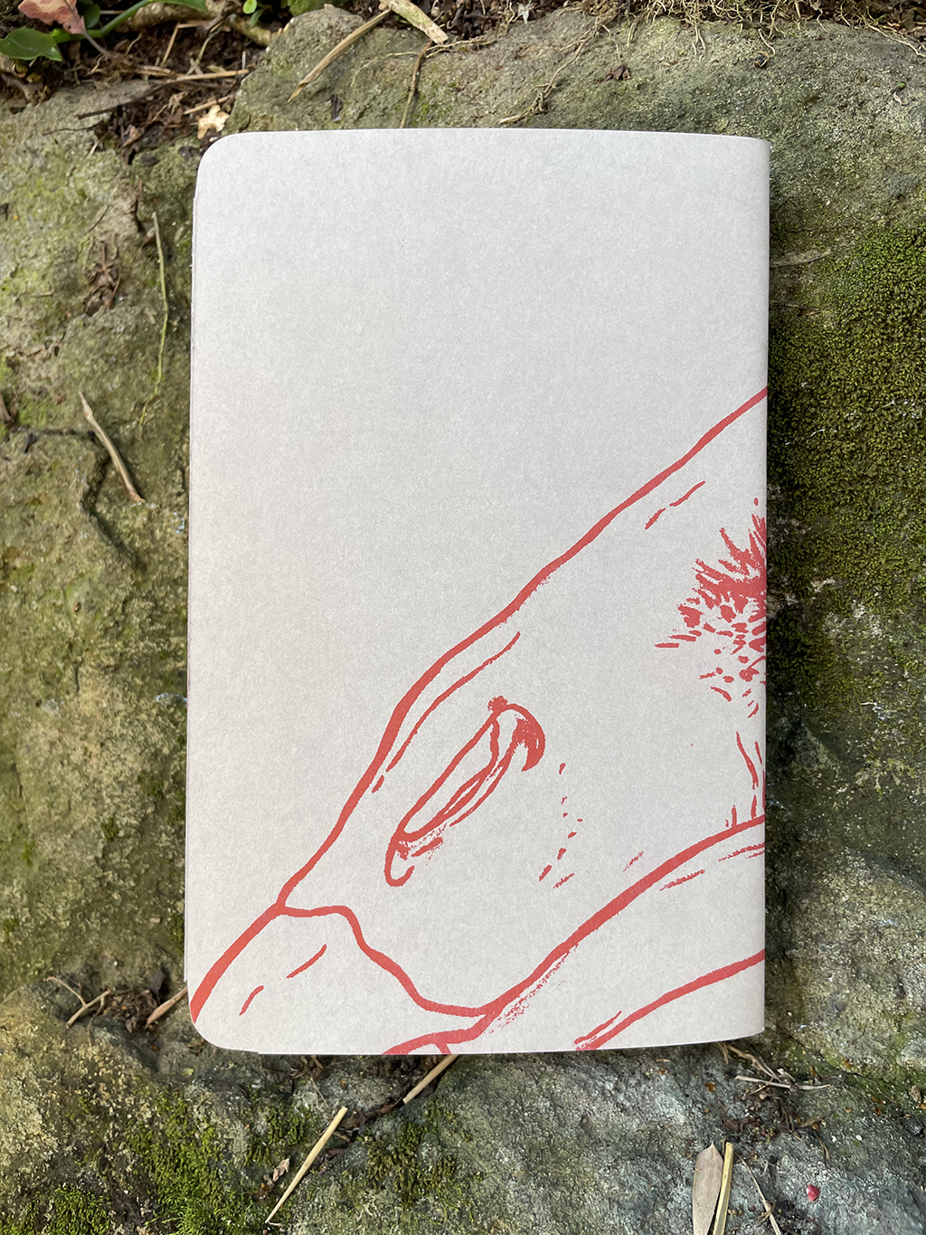 Libreta Guala