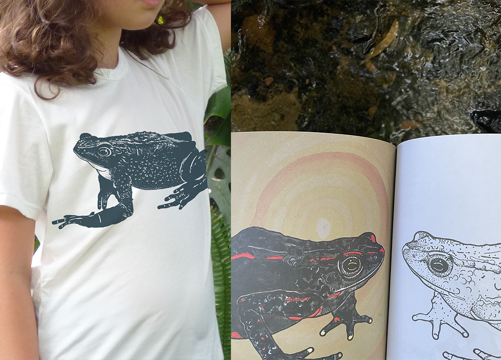 Combo Libro Atelopus + Camiseta infantil Jambato
